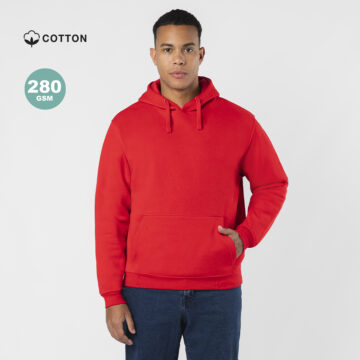 Sudadera Adulto Draco
